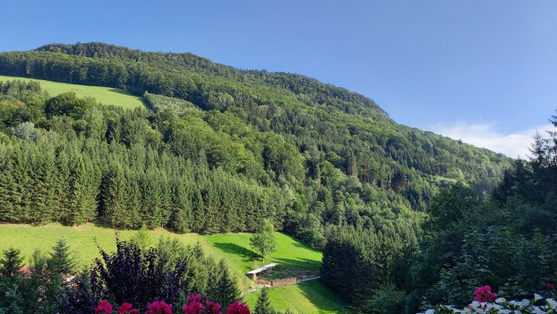 Balcony view, &copy; Reisenbichler