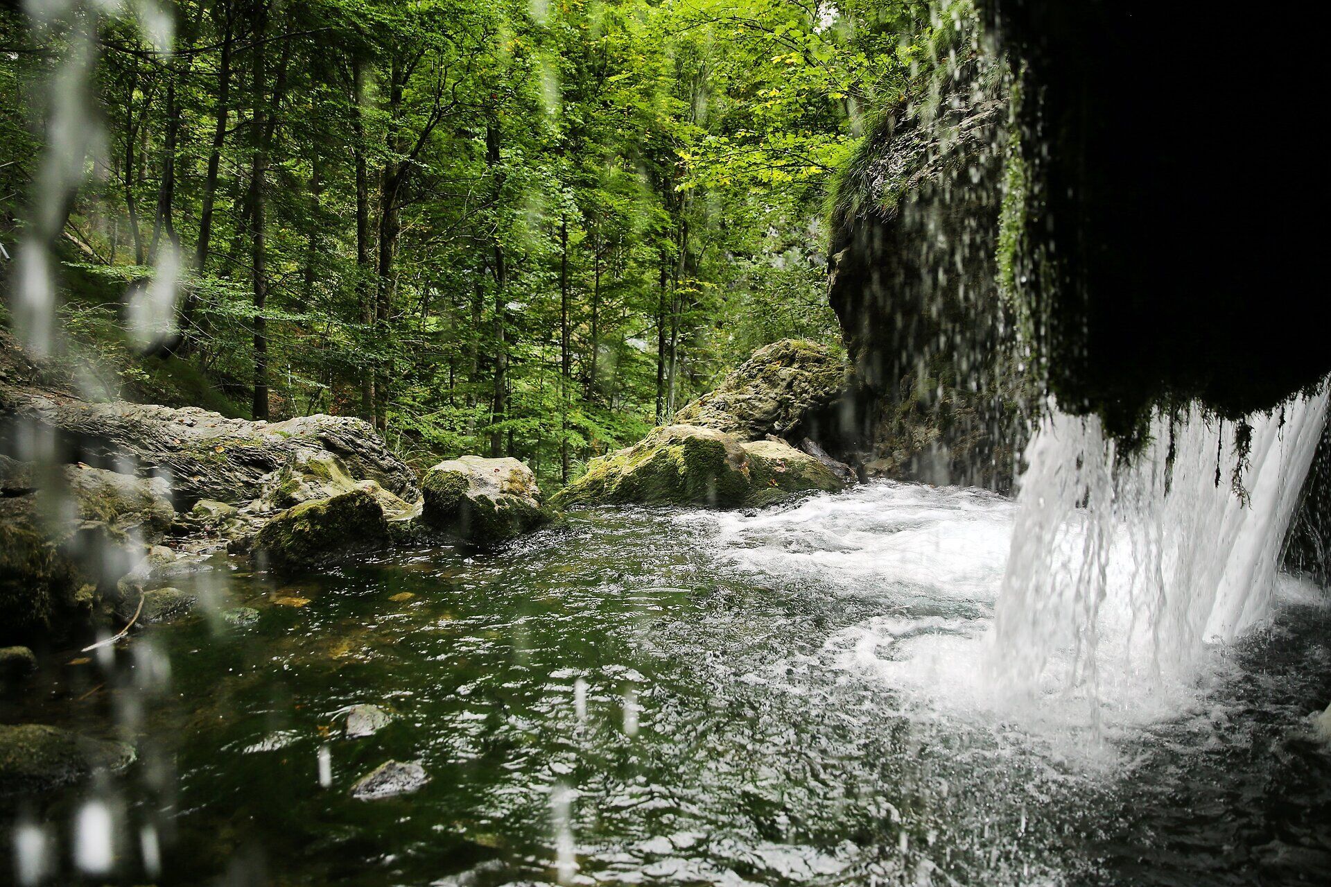 Der Trefflingfall verzaubert mit seinem kristallklaren Wasser, das sanft über die Felsen plätschert und eine erfrischende Atmosphäre schafft. Umgeben von üppigem Grün und majestätischen Bäumen lädt dieser Ort zum Verweilen und Entspannen ein, während die sanften Geräusche der Natur die Seele beruhigen.