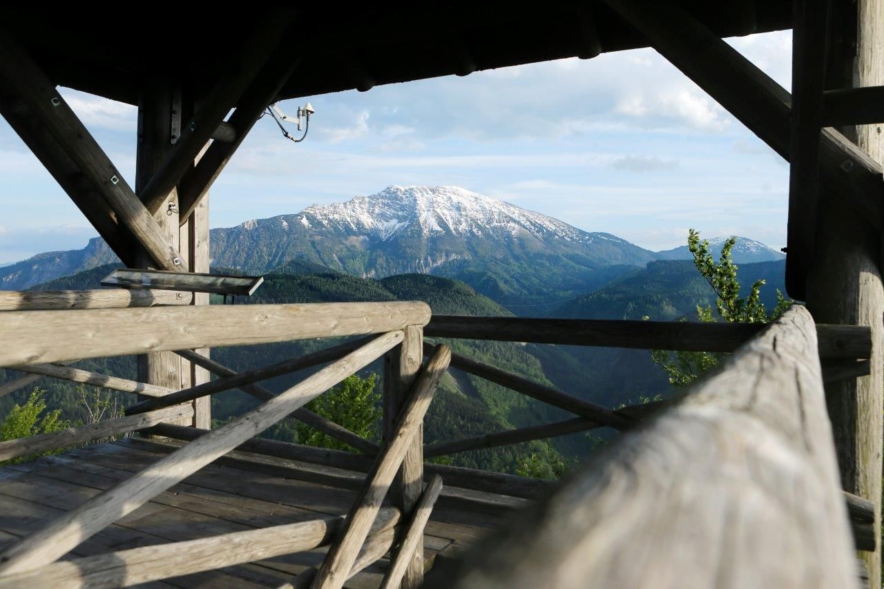 Holzaussichtsturm mit Blick auf schneebedeckten Berg und bewaldete Hügel.