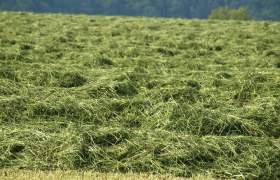 Heuernte im Naturpark, &copy; Naturpark &Ouml;tscher-Torm&auml;uer