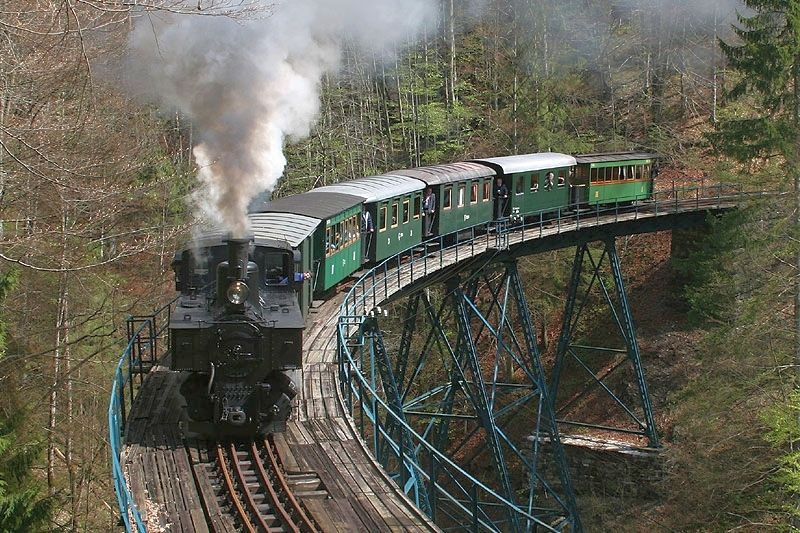 Dampflok auf einer Brücke im Wald