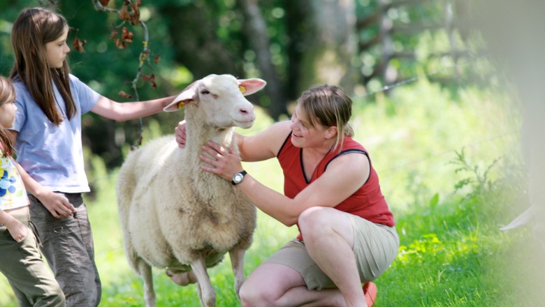 Eine Frau und zwei Kinder streicheln ein Schaf auf einer Wiese.