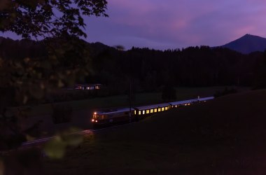 Ötscherbär bei Nacht, © Grojer