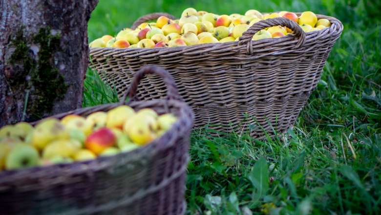 Streuobstwiese , &copy; Cleanhill Studios
