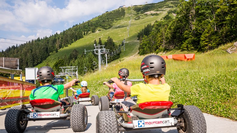 Personen fahren mit Mountaincarts einen Berg hinunter.