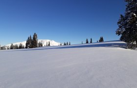 &Ouml;tscher in winter, &copy; Naturpark &Ouml;tscher-Torm&auml;uer