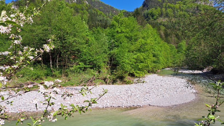 Ferienwohnung Urmannsau, © Melitta Praus